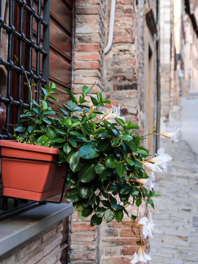 Appartamento Casa Armanni - La Tua Casa Di Pietra Gubbio Esterno foto